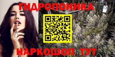 соль ск Кингисепп