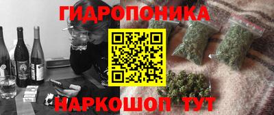 соль ск Кингисепп