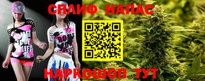 шишки Кинель