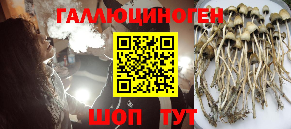 Псилоцибиновые грибы MAGIC MUSHROOMS  где найти   Псилоцибиновые грибы ЛСД  Крымск  Вход с VPN 